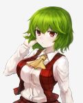  1girl ascot bangs breasts commentary_request green_hair grey_background hair_between_eyes hand_up kazami_yuuka large_breasts long_sleeves red_eyes red_skirt red_vest shirt short_hair simple_background skirt skirt_set solo tac touhou upper_body vest white_shirt yellow_neckwear 