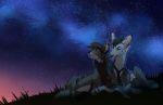  2019 canid canine detailed_background digital_media_(artwork) duo feral grass hi_res lying mammal night outside sky star starry_sky turnipberry 
