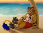  2019 4_toes 5_fingers anthro beach black_pawpads carifoxleopard day detailed_background digital_media_(artwork) felid fingers lion male mammal outside pantherine pawpads sand seaside shoreline solo toes water 