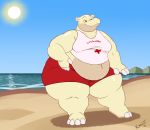  beach common_hippopotamus hippopotamid kazecat lifeguard male mammal overweight seaside smile solo sun 