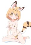  1girl animal_ears arm_support bangs barefoot bikini blush breasts bright_pupils commentary_request ilyfon133 kemono_friends light_frown looking_at_viewer medium_breasts navel open_mouth print_bikini serval_(kemono_friends) serval_ears serval_print serval_tail short_hair simple_background sitting solo striped_tail swimsuit tail untied untied_bikini white_background white_pupils yokozuwari 