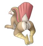  absurd_res anthro anus avian bird butt feathers female hi_res nintendo pidgeot pok&eacute;mon pok&eacute;mon_(species) presenting pussy solo video_games wings 