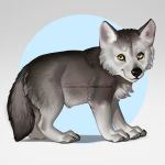  1:1 2019 ambiguous_gender aomori black_body black_fur black_nose canid canine canis cub digital_media_(artwork) distracting_watermark feral fur grey_body grey_fur mammal paws solo standing watermark white_body white_fur wolf yellow_eyes young 