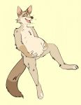  5_fingers anthro canid canine canis coyote digitigrade fingers gerplexan hi_res male_pregnancy mammal nude pregnant simple_background sitting thebadgerman 