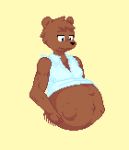  anthro clothing digital_media_(artwork) egorrus37 male male_pregnancy mammal pixel_(artwork) pregnant shirt solo topwear ursid 