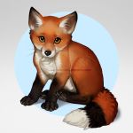  1:1 2019 4_toes ambiguous_gender aomori black_nose canid canine cub digital_media_(artwork) distracting_watermark feral fox mammal paws sitting solo toes watermark young 