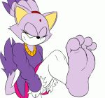  4_toes anthro barefoot blaze_the_cat claws domestic_cat feet felid feline felis female foot_fetish foot_focus fur humanoid_feet mammal purple_body purple_fur simple_background soles solo sonic_the_hedgehog_(series) toe_claws toe_wiggle toes white_background xptzstudios yellow_eyes 