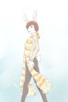  9x9 anthro clothed clothing hi_res lagomorph leporid male mammal rabbit scarf snow solo walking winter 