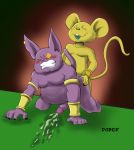  anal champa dober domestic_cat dragon_ball dragon_ball_super felid feline felis fur hi_res humanoid_penis male male/male mammal mouse murid murine overweight penis purple_body purple_fur quitela rodent sex size_difference yellow_body yellow_fur 