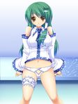  bad_id bad_pixiv_id bottomless frog green_hair highres kirise_mitsuru kochiya_sanae lingerie long_hair panties snake solo touhou underwear white_panties 