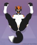  2019 anthro anus areola biped black_body black_fur breasts butt canid canine canis claws clitoris digital_drawing_(artwork) digital_media_(artwork) dipstick_tail eyebrows female front_view fur fur_markings gradient_background hair hand_on_legs holding_legs inner_ear_fluff legs_up looking_at_viewer lying mammal markings masonparker multicolored_tail nipples nude on_back orange_anus orange_hair orange_markings orange_nipples orange_nose orange_pussy patreon pawpads paws presenting presenting_hindquarters presenting_pussy purple_background pussy signature simple_background solo spread_legs spreading text tuft url white_body white_fur wolf 