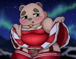  2019 anthro blush bulge christmas clothed clothing crossdressing green_eyes hi_res holidays inigo_(kusosensei) kusosensei male mammal outside overweight overweight_male penis_outline solo underwear ursid young 