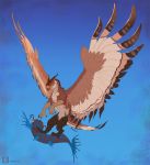  amarian avian beak blood blue_sclera bodily_fluids digital_media_(artwork) duo feathered_wings feathers feral fish flying fur gryphon hi_res looking_down marine talons wings 