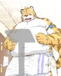  2019 anthro balls barely_visible_balls barely_visible_genitalia belly bulge felid hi_res humanoid_hands male mammal moobs nico26b nipples overweight overweight_male pantherine solo tiger towel wet 