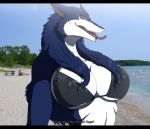  2011 anthro beach big_breasts bikini blue_sky breasts clothed clothing cloud day detailed_background digital_media_(artwork) ear_piercing english_text female lips mammal outside piercing sand seaside sergal skimpy sky solo swimwear text thick_bottom_lip tongue vallery walter_sache water 