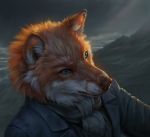  anthro blue_eyes brown_nose canid canine clothed clothing conditional_dnp day detailed_background digital_media_(artwork) fox fpx fur headshot_portrait latex_(artist) male mammal orange_body orange_fur outside portrait solo white_body white_fur 