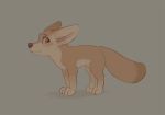 blush canid canine fennec feral fox male mammal paws skidoo solo standing 