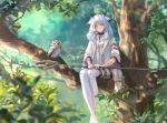  1girl achyue animal arknights bangs belt bird blue_hair blurry bokeh boots crossed_ankles day depth_of_field dress hair_flaps highres holding holding_staff in_tree jacket light_particles long_hair looking_at_viewer nature orange_eyes owl ptilopsis_(arknights) sidelocks sitting staff thigh_boots thigh_strap thighhighs tree turtleneck white_dress white_footwear white_jacket 