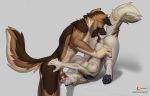  2019 4_toes 5_fingers anthro anthro_on_anthro anthro_penetrated anthro_penetrating anthro_penetrating_anthro anus areola black_pawpads bodily_fluids breasts brown_body brown_fur canid canine canis coyote cum cum_in_mouth cum_inside cunnilingus danomil digital_media_(artwork) domestic_dog duo fellatio female female_penetrated fingers fur genital_fluids german_shepherd herding_dog knot male male/female male_penetrating male_penetrating_female mammal nipples oral pastoral_dog pawpads penetration penile penis sex toes vaginal 