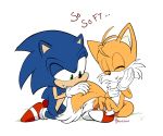  2d_animation animated bikomation bikomation_(artist) blue_eyes canid canine duo fox fur male mammal miles_prower sonic_the_hedgehog_(series) tails_(disambiguation) video_games 
