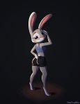  absurd_res anthro clothed clothing disney female hi_res judy_hopps lagomorph leporid mammal noxfurybox rabbit solo zootopia 