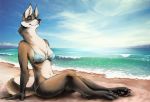  2017 4_toes anthro arm_support beach bikini biped black_nose bra breasts brown_body brown_fur canid canine canis chest_tuft claws clothing cloud day detailed detailed_background digital_drawing_(artwork) digital_media_(artwork) domestic_dog female fingers fluffy fluffy_tail fur horizon looking_away mammal nipple_outline on_ground outside pawpads paws pinup pose relaxing sea seaside side_view sitting sky smile solo sterr swimwear three-quarter_view toes topwear tuft underwear water white_body white_claws white_fur 