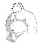  2019 anthro belly black_nose bulge clothing fur hagom hi_res male mammal moobs navel overweight overweight_male polar_bear simple_background solo underwear ursid ursine white_background white_body white_fur 