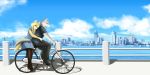  2019 anthro bicycle blue_clothing blue_dress blue_sky bottomwear breasts canid canine cheek_tuft chin_tuft city cityscape clothed clothing cloud day dress duo facial_tuft female footwear fully_clothed fur fur_tuft grey_body grey_ears grey_fur grey_tail hi_res mammal pants sky treyer tuft water white_body white_fur 