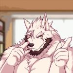  1:1 617foreverwithy animated anthro beard black_nose blush canid canine canis chest_tuft ear_piercing facial_hair fur inner_ear_fluff looking_at_viewer loop low_res mammal muscular pecs piercing scar solo tongue tongue_out tuft white_body white_fur wolf 