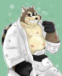  2017 absurd_res anthro blood bodily_fluids brown_body brown_fur canid canine fur hi_res kamui_shirow male mammal overweight overweight_male raccoon_dog scar sweat tanuki 