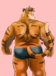  2019 absurd_res anthro butt clothing felid hi_res humanoid_hands kamui_shirow male mammal pantherine pink_background simple_background slightly_chubby solo tiger underwear 