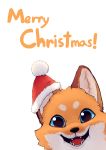  2019 absurd_res ambiguous_form ambiguous_gender canid canine christmas clothing color_fox fox fur hat headgear headwear hi_res holidays looking_at_viewer mammal multicolored_body multicolored_fur open_mouth orange_body orange_fur red_clothing red_hat red_headwear red_tongue santa_hat simple_background solo teeth tongue white_background 