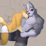  1:1 balls blush bulge canid canine canis clothing duo fox fox_mccloud hi_res jrjresq male male/male mammal nintendo penis penis_outline star_fox tongue tongue_out underwear video_games wolf wolf_o&#039;donnell 