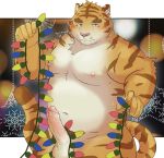  2019 anthro balls belly blue_eyes blush christmas erection felid holidays humanoid_hands humanoid_penis maguro male mammal moobs navel nipples pantherine penis slightly_chubby solo tiger 