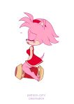  2d_animation ambiguous_penetration amy_rose animated bikomation bikomation_(artist) clothing eulipotyphlan female hedgehog hi_res mammal penetration sonic_the_hedgehog_(series) 