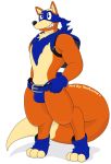  2019 alpha_channel anthro canid canine clothed clothing digital_media_(artwork) dora_the_explorer english_text fox fur handwear male mammal mask notkastar signature simple_background smile solo swiper text thong transparent_background underwear 