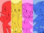  2013 4:3 amy_rose anthro blue_body blue_fur canid canine clothing echidna eulipotyphlan female footwear fox fur gloves grin group handwear hedgehog knuckles_the_echidna male mammal miles_prower monotreme pink_body pink_fur red_body red_fur root8beat shoes smile sonic_the_hedgehog sonic_the_hedgehog_(series) yellow_body yellow_fur 