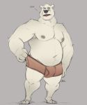  2019 anthro belly bulge clothing fur humanoid_hands male mammal minedoo moobs navel nipples overweight overweight_male polar_bear simple_background solo text underwear ursid ursine white_body white_fur 