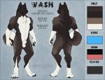  2019 4_toes 5_fingers akita akitawash animal_genitalia anthro balls black_body black_fur black_nose blue_eyes butt canid canine canis cedarwolf claws digitigrade domestic_dog fingers fur male mammal muscular nude sheath solo spitz toes white_body white_fur 