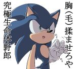  2013 anthro blue_body blue_fur clothing eulipotyphlan fur gloves green_eyes handwear hedgehog japanese_text male mammal root8beat simple_background solo sonic_the_hedgehog sonic_the_hedgehog_(series) text white_background 