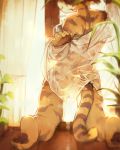  2019 absurd_res anthro felid feline fur hi_res inside kiyosan_(artist) kneeling male mammal pawpads plant solo striped_body striped_fur striped_tail stripes 