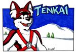  anthro canid canine canis cirruskitfox domestic_dog featureless_chest half-length_portrait harness hi_res mammal marker_(artwork) name_badge outside portrait snow solo standing traditional_media_(artwork) winter 