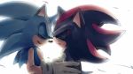  2013 anthro black_body black_fur blue_body blue_fur clothing duo eulipotyphlan eyes_closed fur gloves handwear hedgehog looking_at_another male mammal red_body red_eyes red_fur root8beat shadow_the_hedgehog simple_background smile sonic_the_hedgehog sonic_the_hedgehog_(series) white_background 