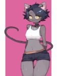  anthro baburusushi black_hair bottomwear choker clothed clothing domestic_cat felid feline felis female fur grey_body grey_fur hair hands_behind_back hi_res hotpants jewelry kemono mammal midriff navel necklace pink_background short_hair shorts simple_background solo thigh_gap yellow_eyes 