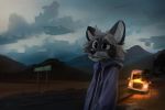  2019 anthro clothing detailed_background hi_res hoodie jacatomato mammal outside procyonid raccoon solo topwear 