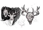  antlers bone cervid digital_media_(artwork) feral fur greyscale horn mammal maquenda monochrome simple_background sketch skull solo 