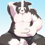  2014 anthro belly black_body black_fur blush bulge canid canine canis clothing domestic_dog fur male mammal mitei moobs mti777 navel nipples overweight overweight_male sitting solo underwear white_body white_fur 