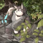  2014 anthro bulge canid canine clothing detailed_background humanoid_hands male mammal mitei mti777 outside robe sitting slightly_chubby solo underwear water 