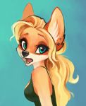  anthro black_lips black_nose blonde_hair blue_eyes breasts bust_portrait canid canine clothed clothing coonkun ear_piercing fangs female fox fur hair lips looking_at_viewer mammal open_mouth orange_body orange_fur piercing portrait shirt solo tank_top topwear 