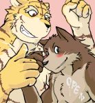  2011 anthro blush brown_body brown_fur canid canine duo felid fur himachi humanoid_hands male mammal pantherine pink_background simple_background text tiger 